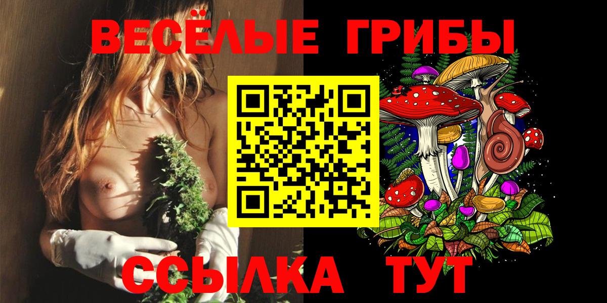 Псилоцибиновые грибы мицелий Коломна