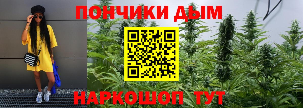 Каннабис ГИДРОПОН Коломна