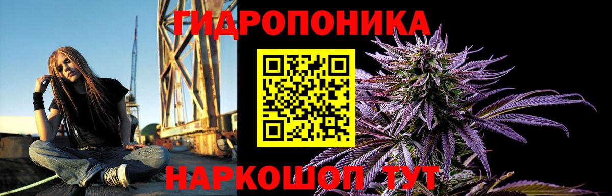 Коломна  Конопля планчик  Вход с VPN  Канабис Bruce Banner  Каннабис марихуана 